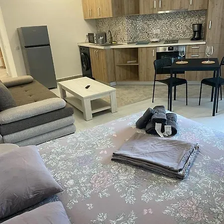 Apartment Ini Solid House Butoaie *